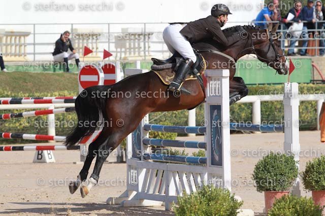 SESTINI_WANDERER_GIO CAV 2011_SS3_0594.jpg